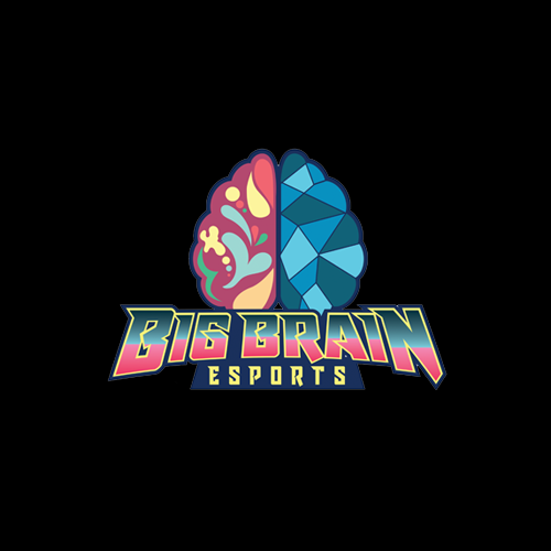 Big Brain Esports