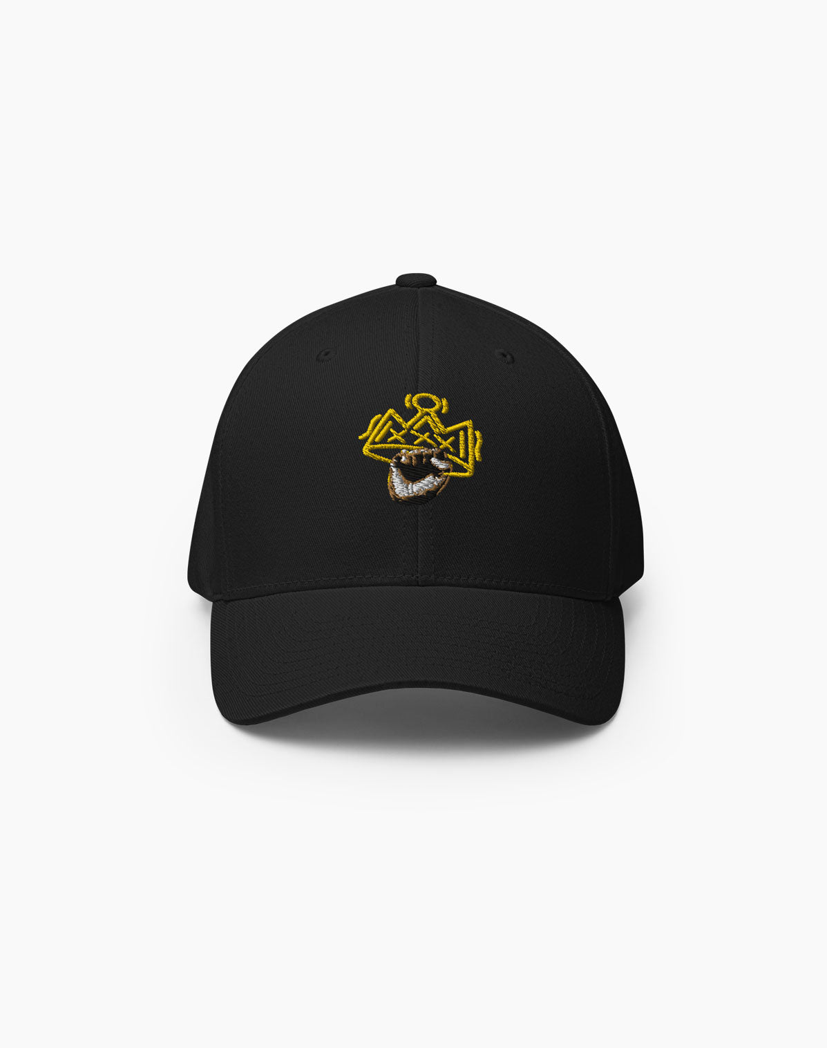 Team Vicity Cap